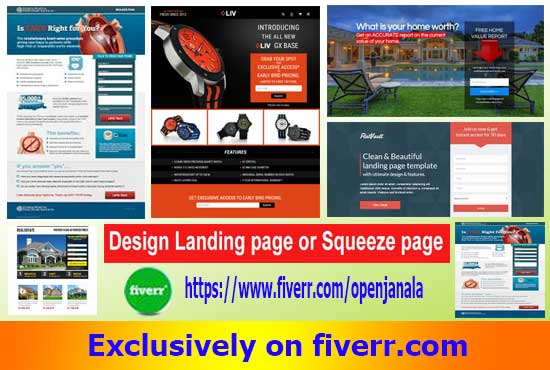 I will create awesome and professional squeeze page or landing page