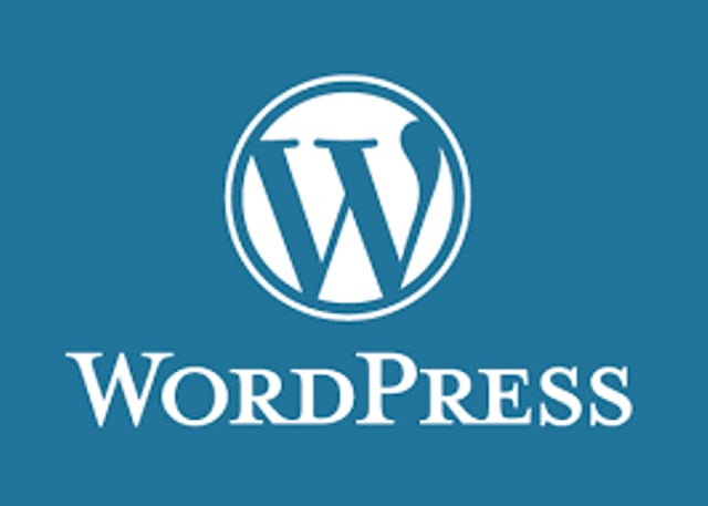 I will create professional wordpress website or blog for your any kind of business