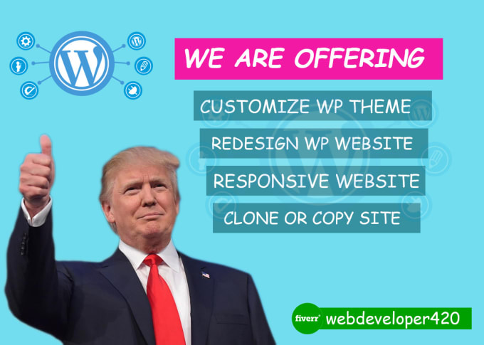 I will customize wordpress theme,redsign,clone,copy design