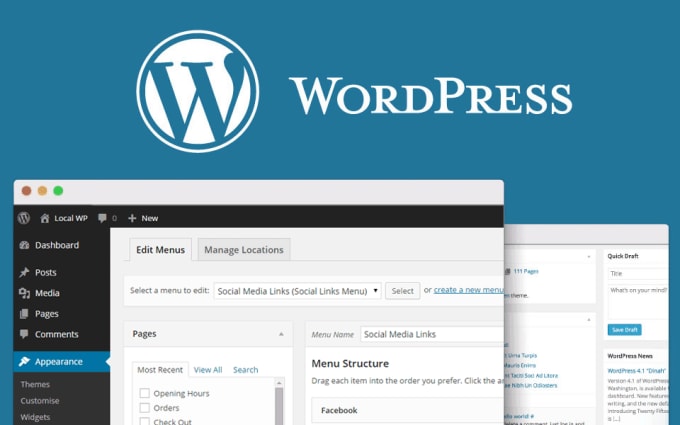 I will develop a responsive and professional wordpress website