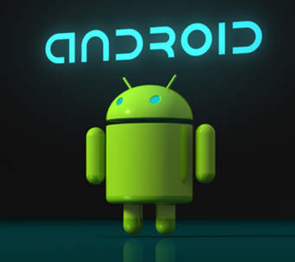 I will develop android app and convert web into app