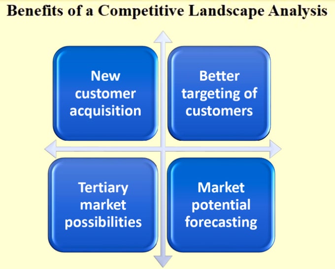 I will do a competitive landscape analysis for your business