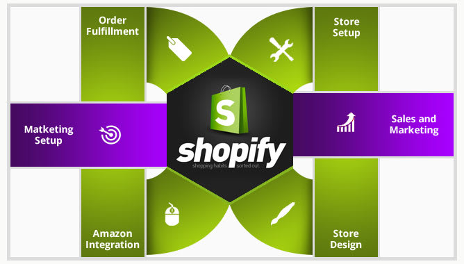 I will do anything in shopify