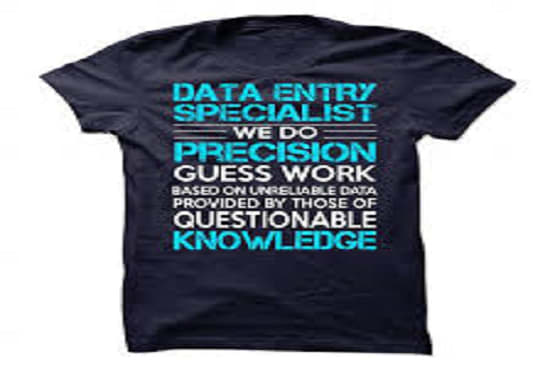 I will do data entry for you according to your expectation