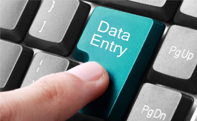 I will do data entry, pdf to excel or word and copy pest work