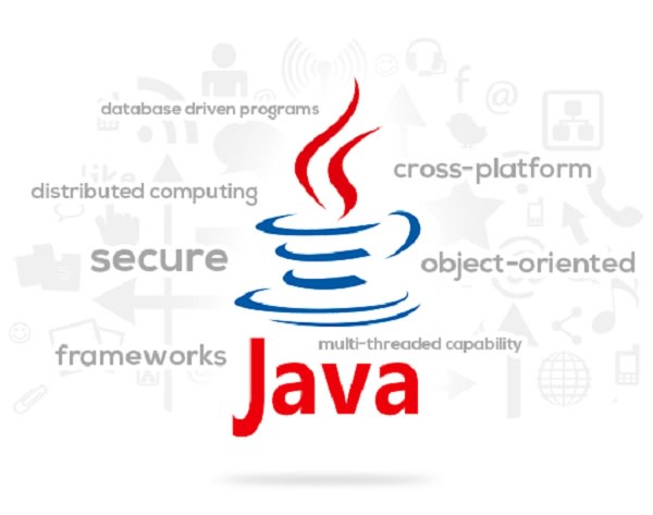 I will do java programming for your application including bug fix  production support