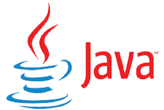 I will do java web site development