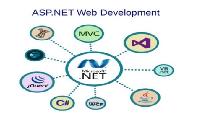 I will do professional responsive website development in dotnet