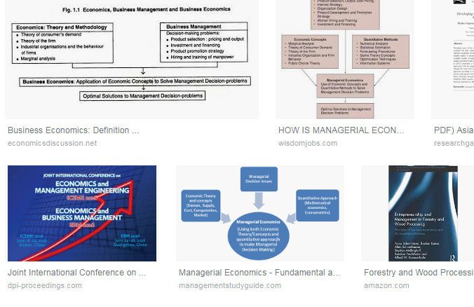 I will do supply chain, economics, case studies and report writing