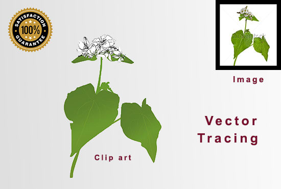 I will do vector tracing of your image or logo