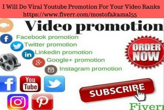 I will do viral youtube promotion for your video ranks