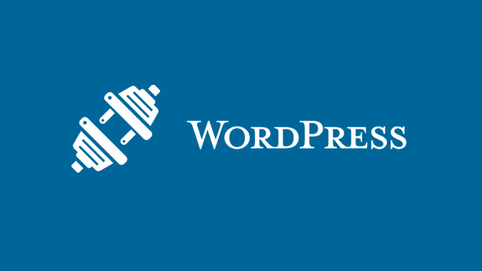 I will fix Wordpress issue and bugs