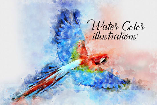 I will make watercolor illustrations and paintings