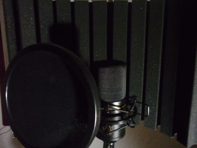 I will record female voice over in english or spanish