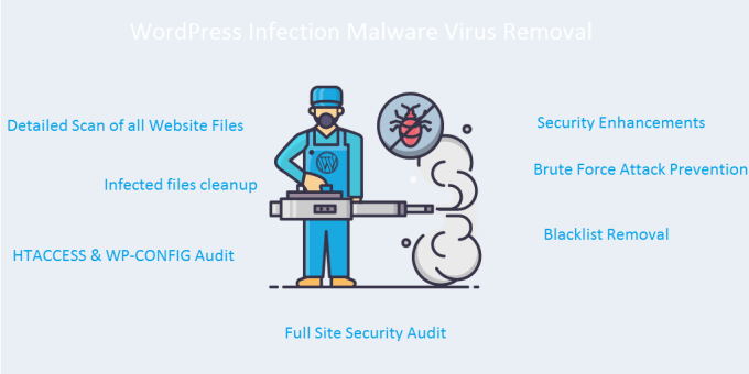 I will remove bugs, issues,  malware, virus from wordpress website