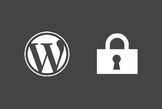 I will security check your Wordpress website