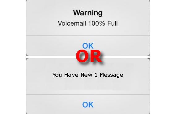 I will summarize your voicemail for you