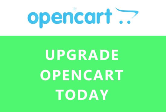 I will upgrade your opencart store in 24 hours