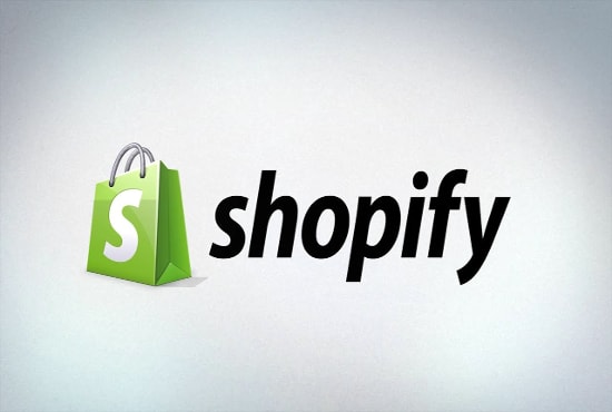 I will build premium shopify store