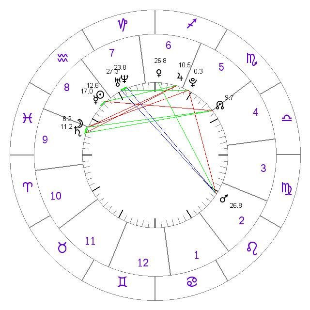I will complete professional natal chart report