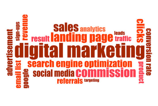 I will create digital marketing strategy for your business products