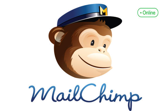 I will create mailchimp autoresponder, campaigns and web forms