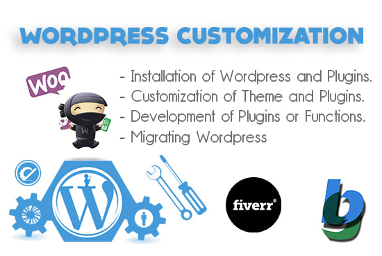 I will customize your wordpress website