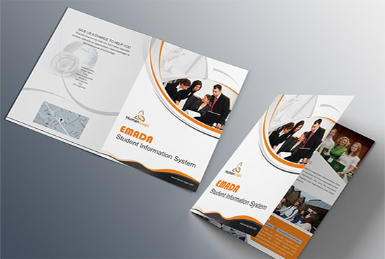 I will design a beautiful brochure or flyer