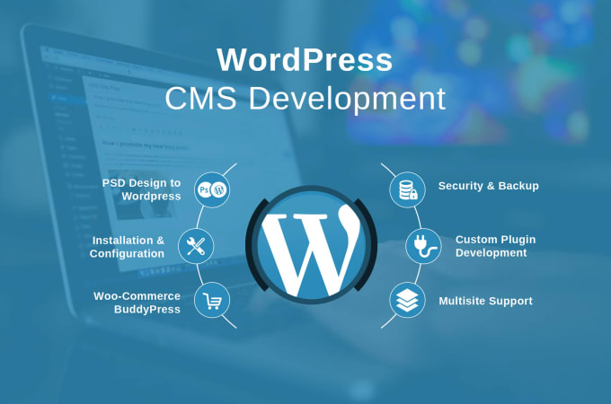 I will develop a wordpress website for you