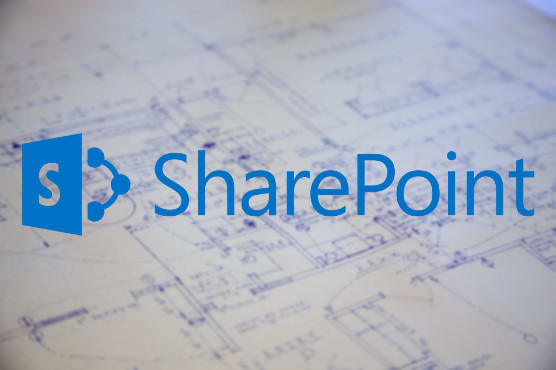 I will develop sharepoint solutions for you, read description
