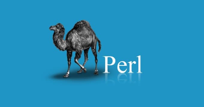 I will develop your perl script