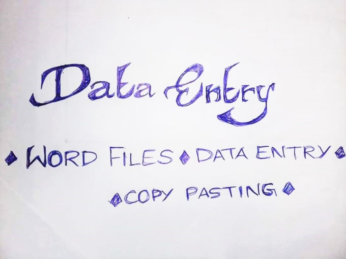 I will do data entry works