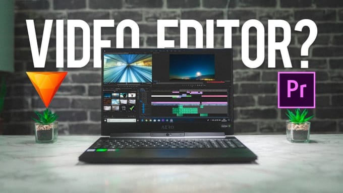 I will do professional video editing in low price