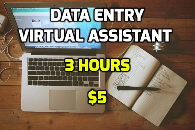 I will do your data entry