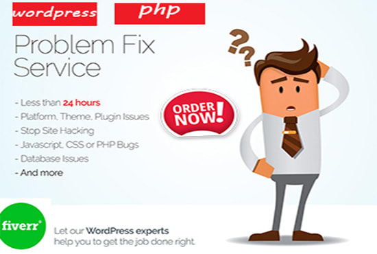 I will fix html,css,javascript,php,wordpress ,api bug issues