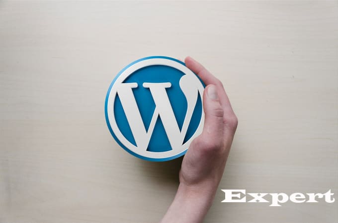 I will fix wordpress and woocommerce issue