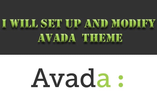 I will install,setup and customize your avada theme