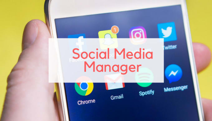 I will manage and optimize your social media pages