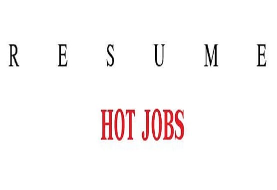 I will provide resume writing services