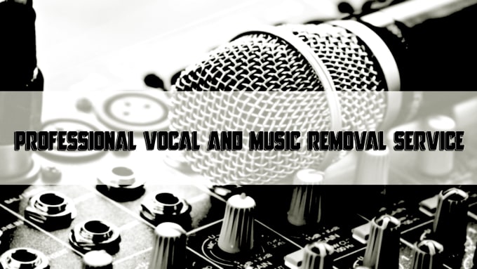 I will remove vocals or music from any song or audio within 1day