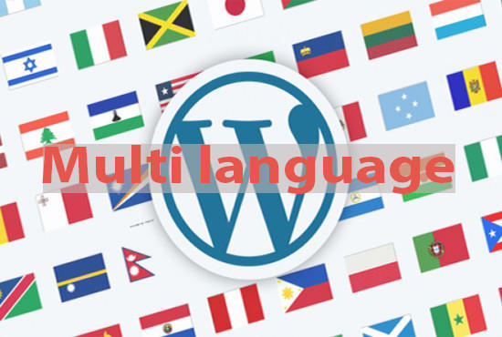 I will setup multi language on wordpress website