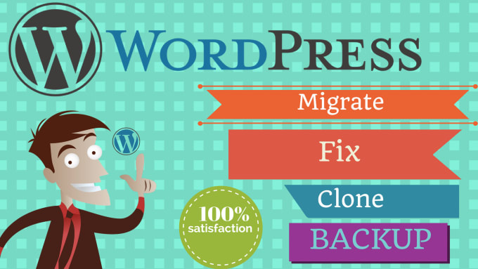 I will transfer, migrate, clone wordpress website