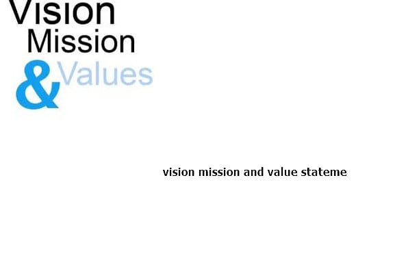 I will write a concise vision, mission  and value statement