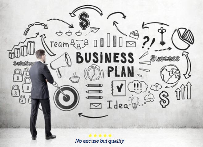 I will write an engaging and presentable business plan for you