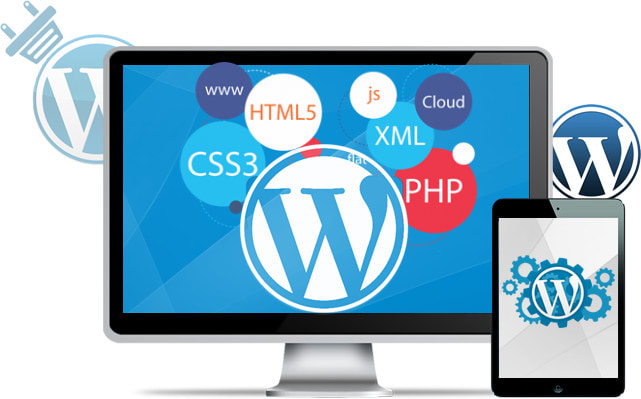 I will customize and develop professional wordpress website