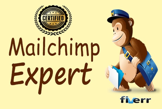 I will be your mailchimp expert