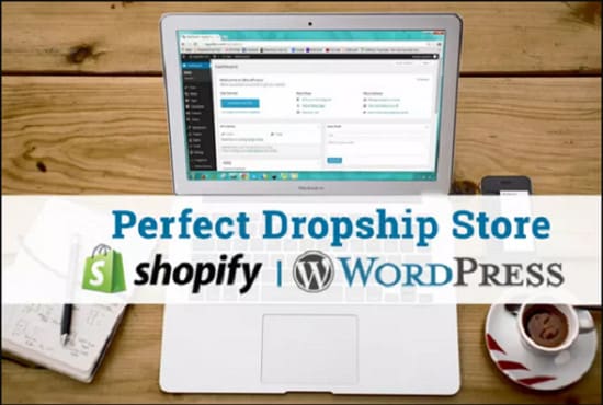 I will build aliexpress shopify or wordpress dropshipping store in 12hrs