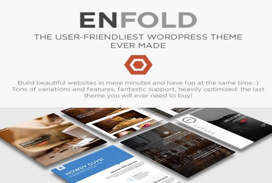 I will build website by enfold theme