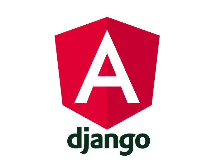 I will build your website in angular and django