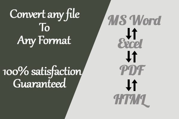 I will convert PDF to word excel html